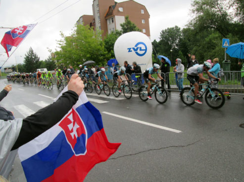 majstrovstva SR CR 8 1